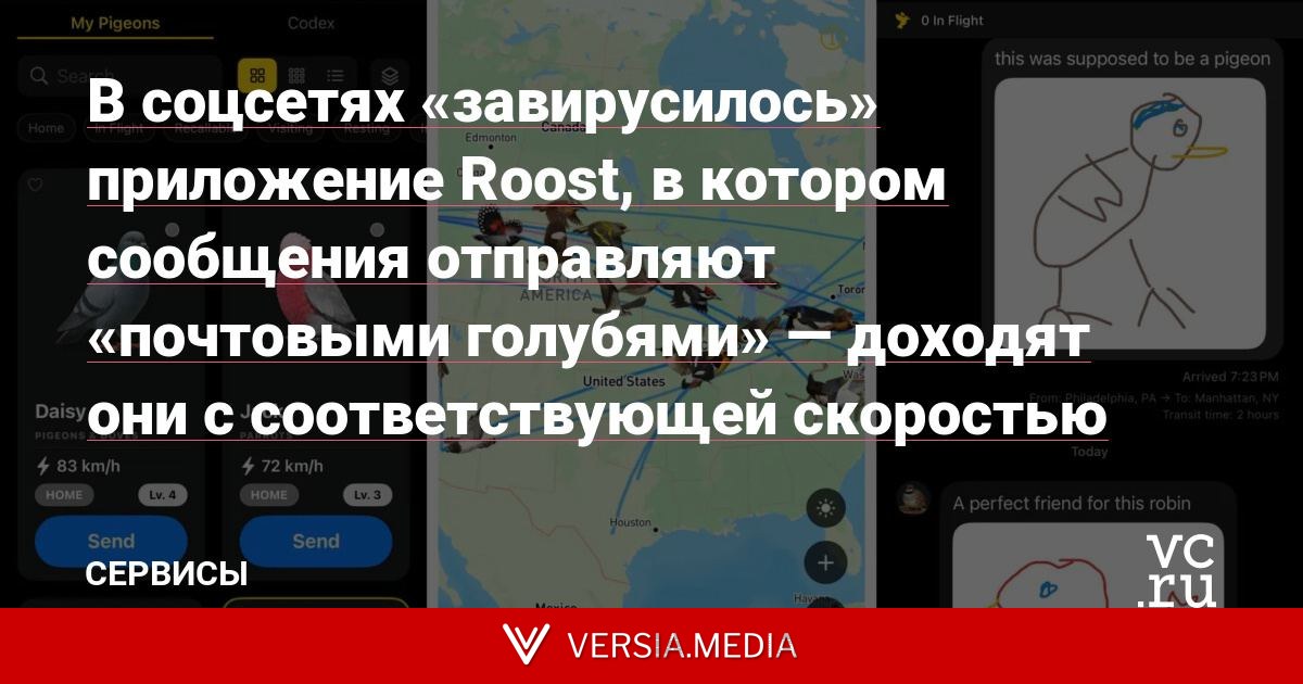 В соцсетях «завирусилось» приложение Roost, в котором сообщения отправляют «почтовыми голубями» — доходят они с соответствующей скоростью